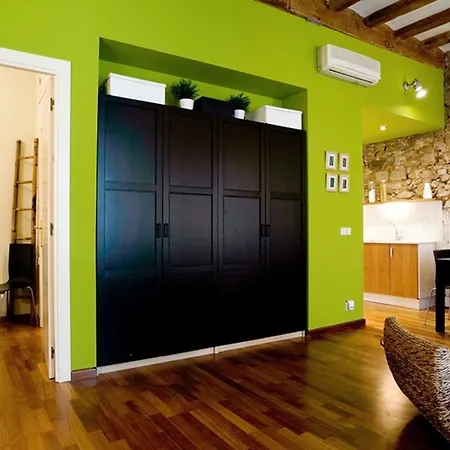 Apartment Picasso Barcelona